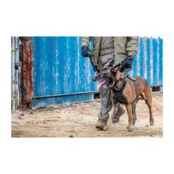 5.11 - AROS K9 Hundehalsbånd Bred // Sort