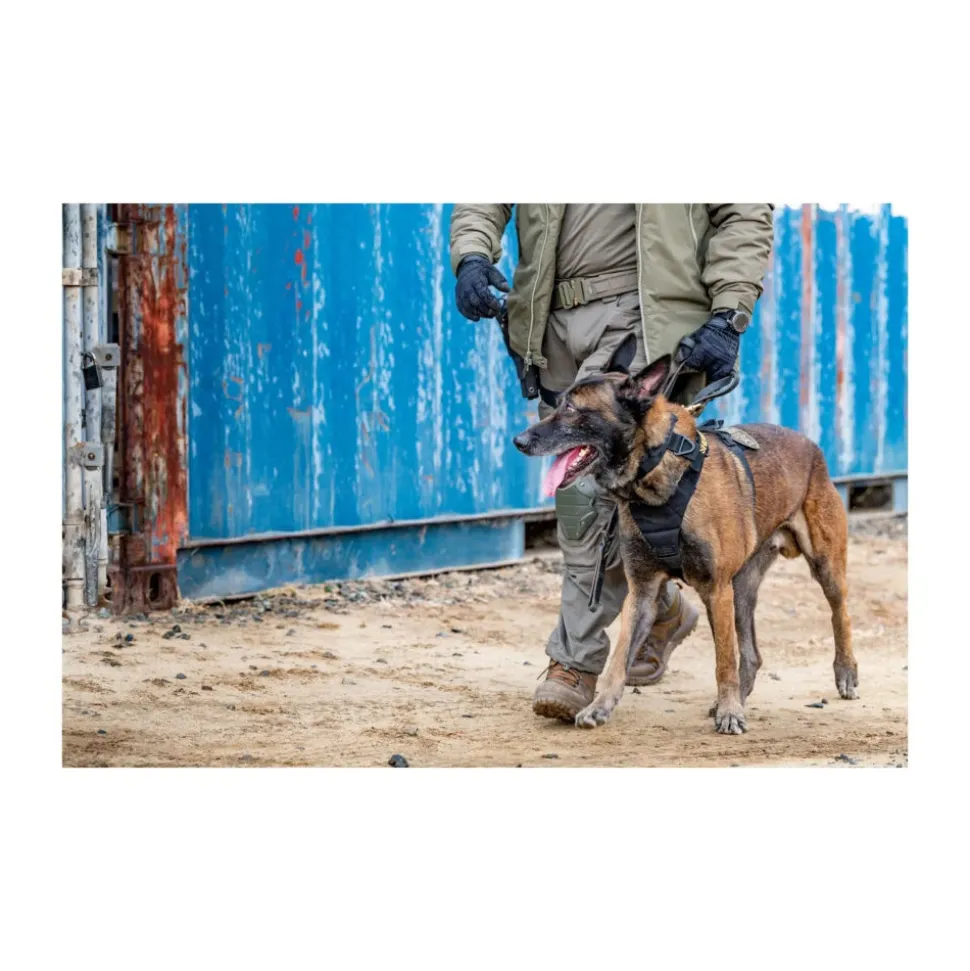 5.11 - AROS K9 Hundehalsbånd Bred // Sort