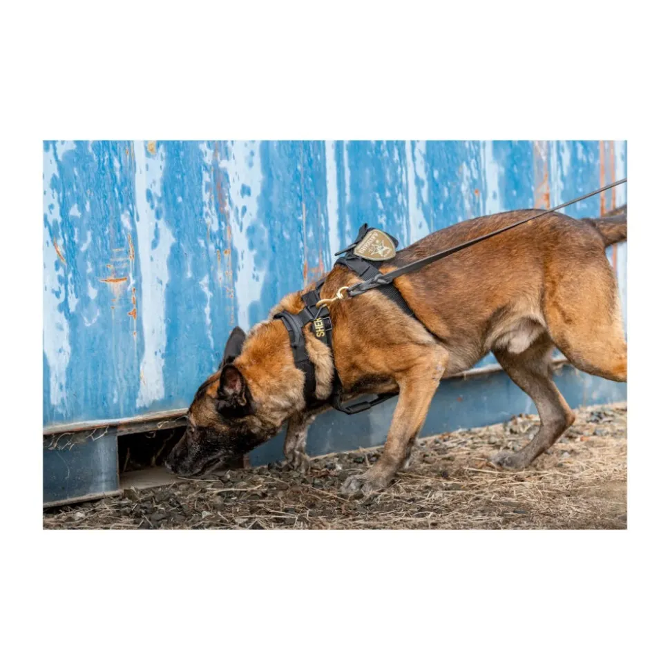 5.11 - AROS K9 Hundehalsbånd Bred // Sort
