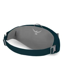 Osprey - Daylite Waist Bæltetaske (2L) // Sort